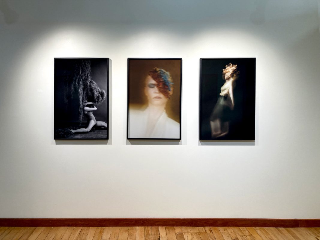 Danijela Gorley, 'Flowers Still Bloom', gallery view