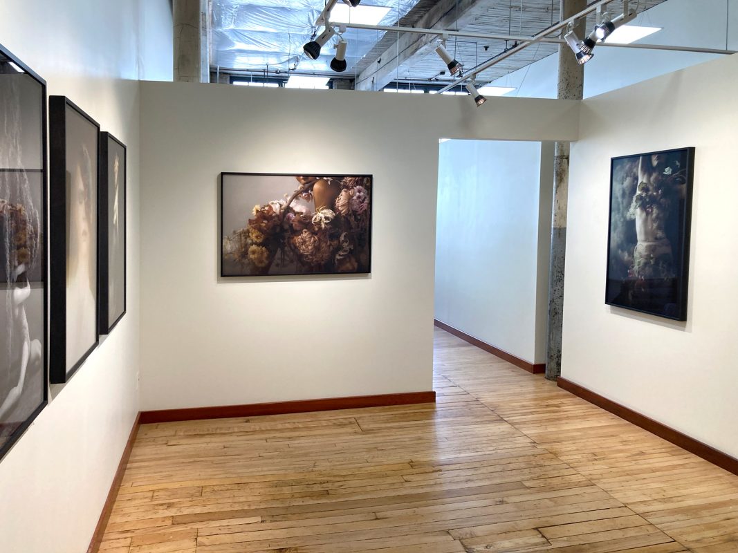 Danijela Gorley, 'Flowers Still Bloom', gallery view