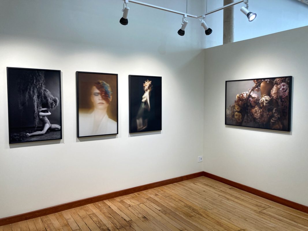 Danijela Gorley, 'Flowers Still Bloom', gallery view