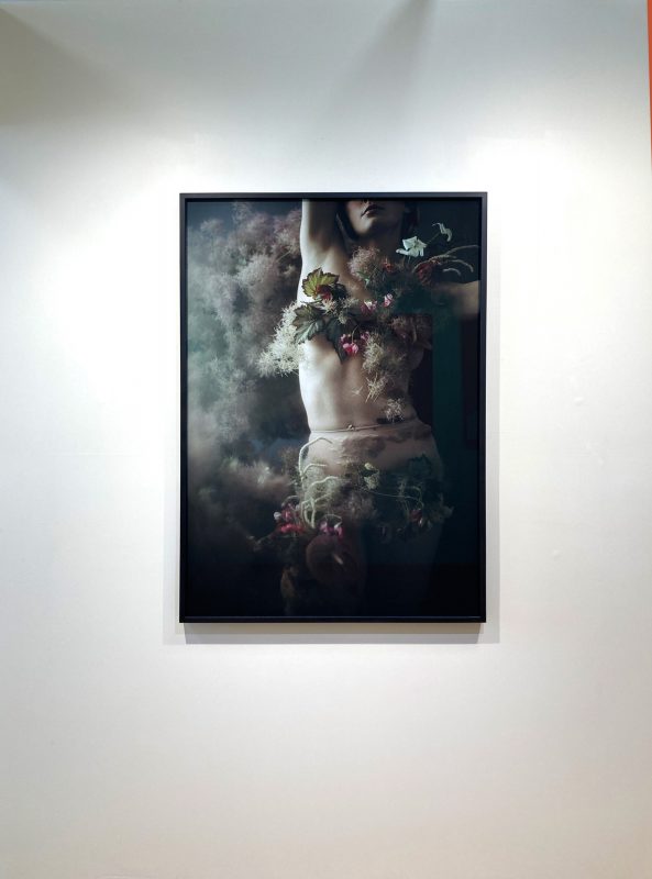 Danijela Gorley, 'Flowers Still Bloom', gallery view