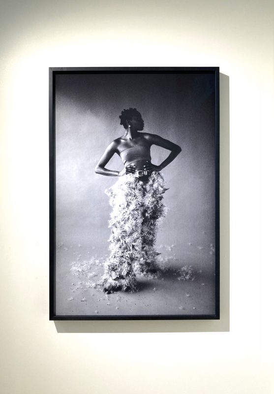 Danijela Gorley, 'Flowers Still Bloom', gallery view