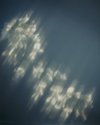 Danijela Gorley - Right Wing