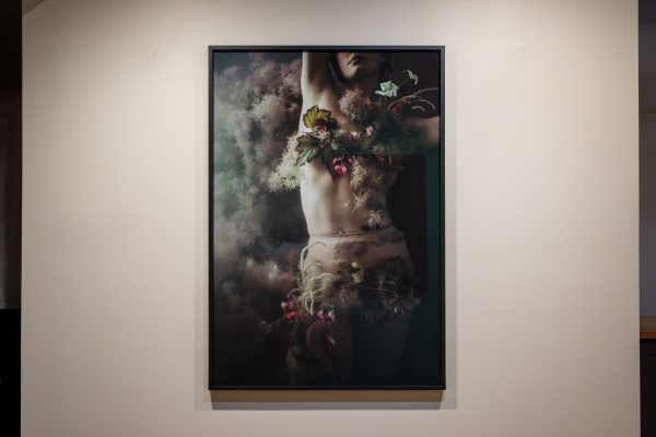 Danijela Gorley - Flowers Still Bloom