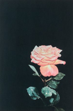 Danijela Gorley - The Offering, 2022