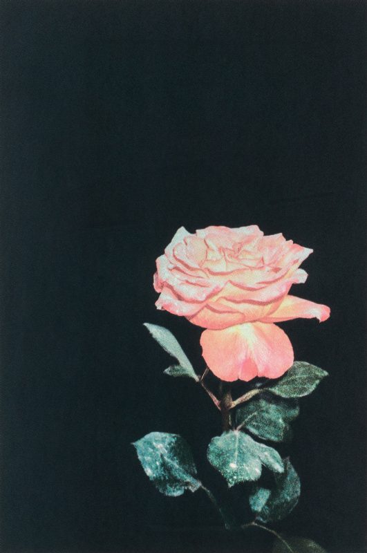 Danijela Gorley - The Offering, 2022