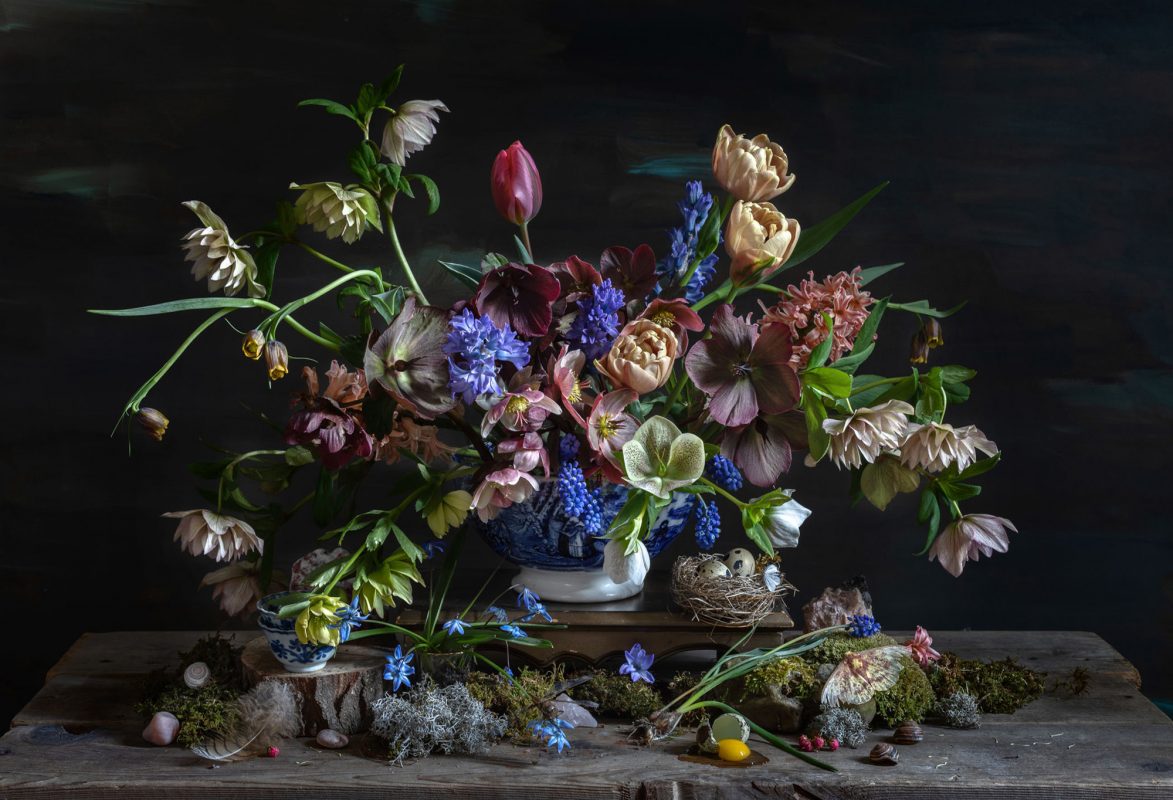 Kristin Sjaarda - Hellebore & Broken Quail Egg, 2021
