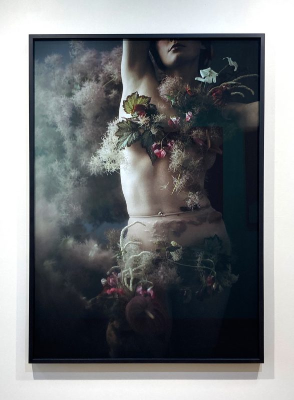 Danijela Gorley - I cracked open and flowers grew, 2019