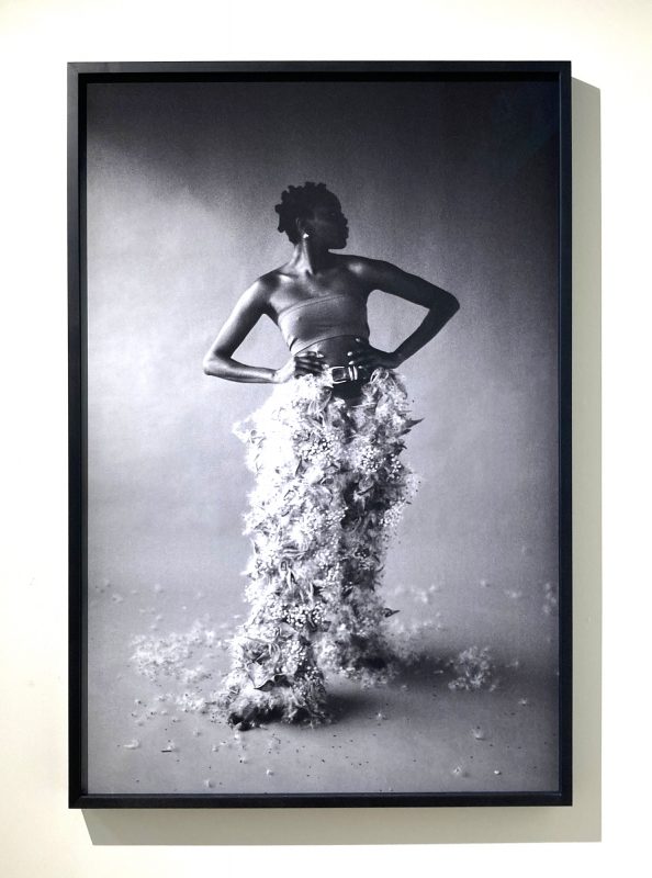 Danijela Gorley - Soft strength, 2019