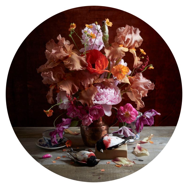 Kristin Sjaarda - Grosbeaks, Iris & Peony, 2019