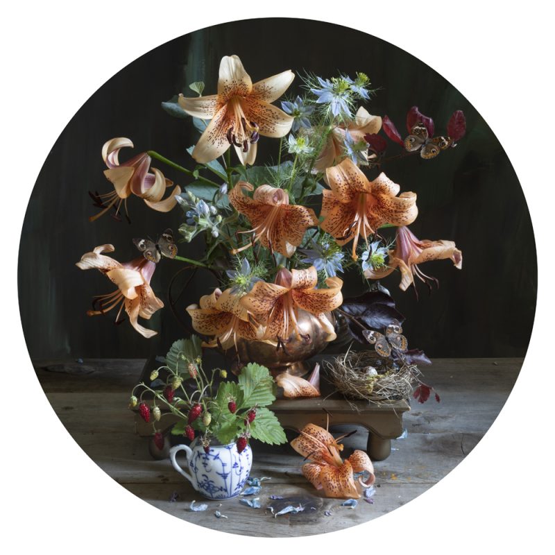 Kristin Sjaarda - Circle Study #11, Tiger Lillies, 2020