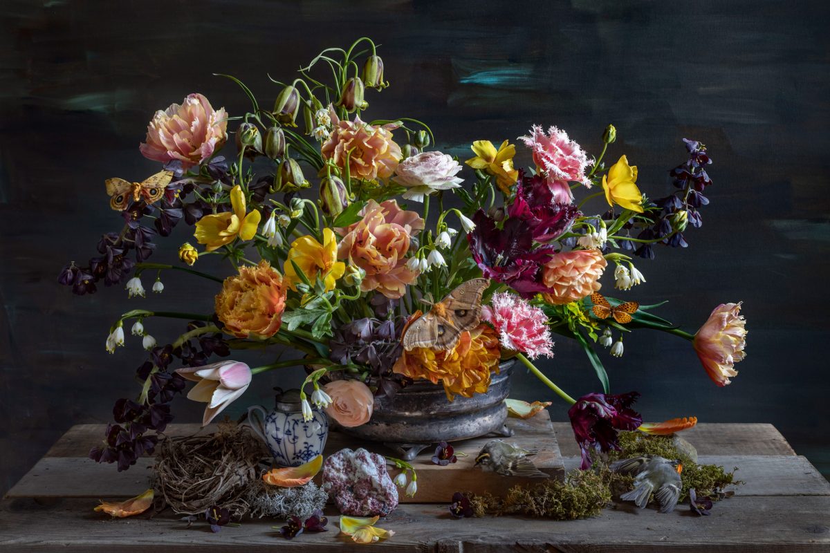 Kristin Sjaarda - Fritilaria & Io Moth, 2021