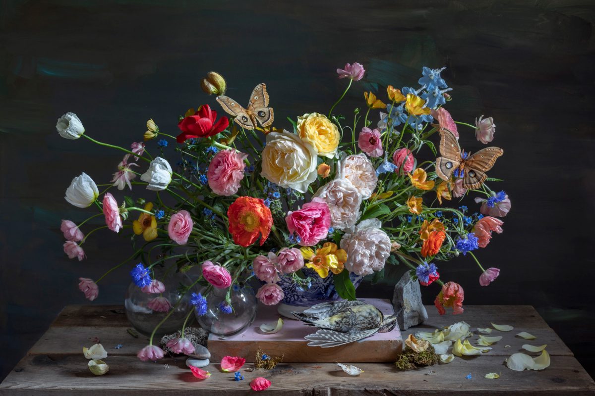 Kristin Sjaarda - Garden Rose & Flicker, 2021