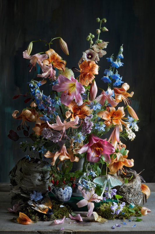 Kristin Sjaarda - Pollinator, 2020