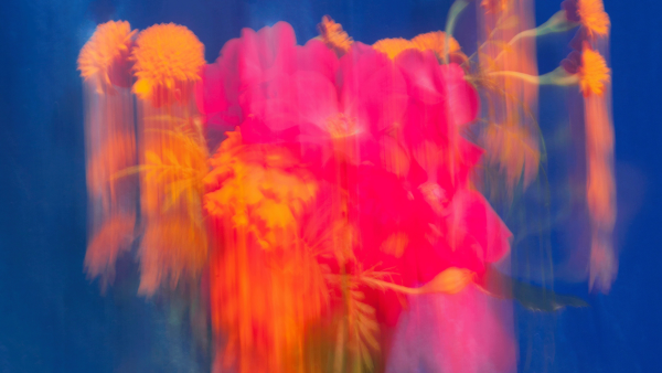 Dainesha Nugent Palache - Enduring Ephemeral (the last bouquet), 2022 Smokestack Quarterly winter edition