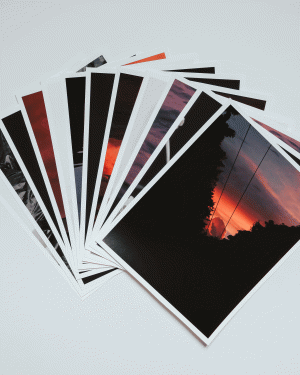 Wynne Neilly - Portfolio 01, 2022