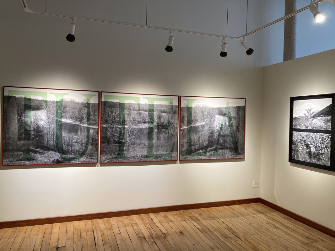 Shelley Niro - Nature's Wild Children, 2023