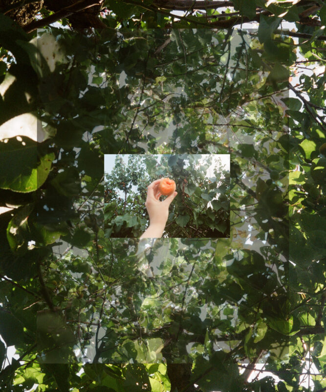 Laura Kay Keeling - Untitled Portal 05, 2023