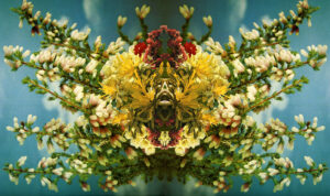 Laura Kay Keeling - Untitled, 2021