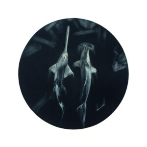 Laine Groeneweg - Saw & Hammer