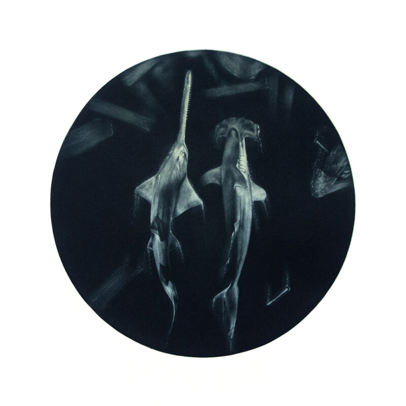 Laine Groeneweg - Saw & Hammer