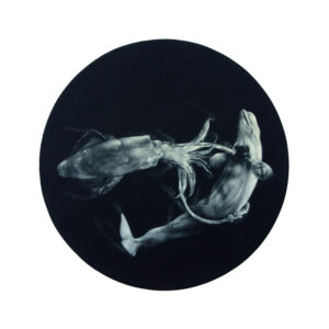 Laine Groeneweg -Squid & Whale