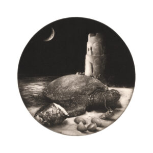 Laine Groeneweg - Miss Sea