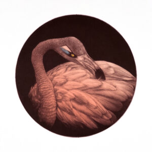 Laine Groeneweg - Divine