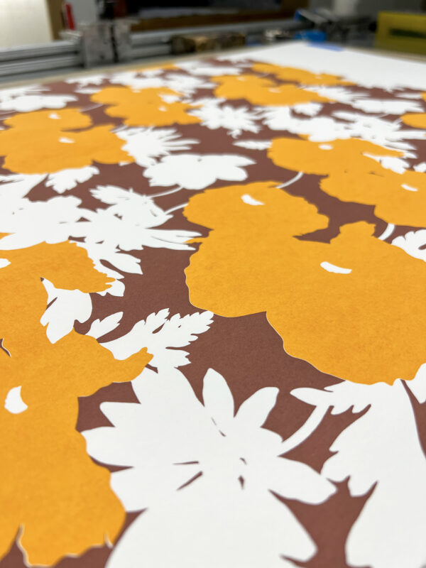 Mia Sandhu - Smokestack Analog Print Residency, 2023