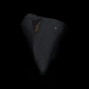 Chris Myhr - Ab-solutes: Lake Erie, C1b, 2020/21