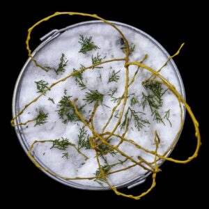 Danny Custodio - Potions #9, 2022