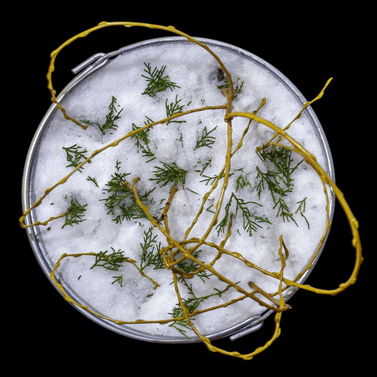 Danny Custodio - Potions #9, 2022