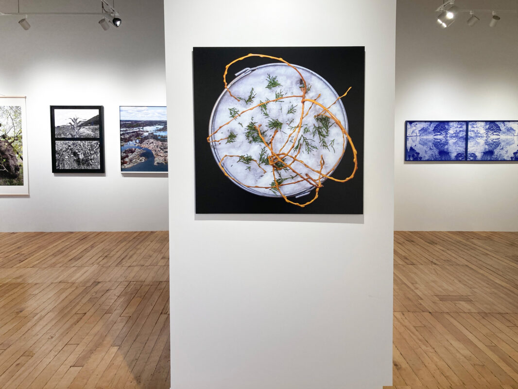 Homecoming: celebrating 10 years in print, 2024