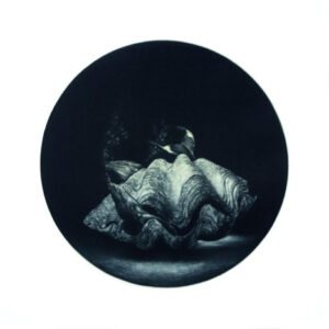 Laine Groeneweg - Hide and Seek, 2016