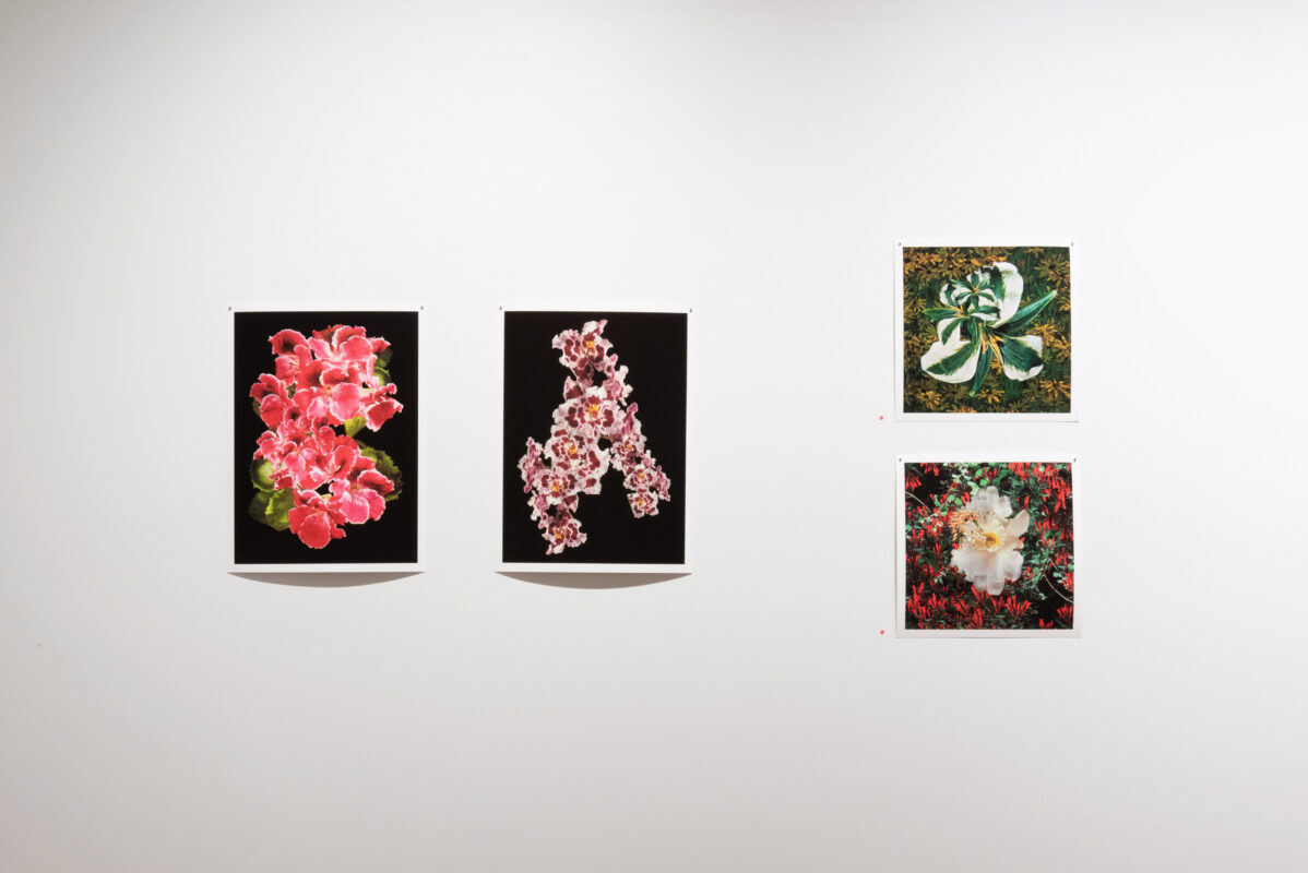 Laura Kay Keeling - Untitled Portals, 2023