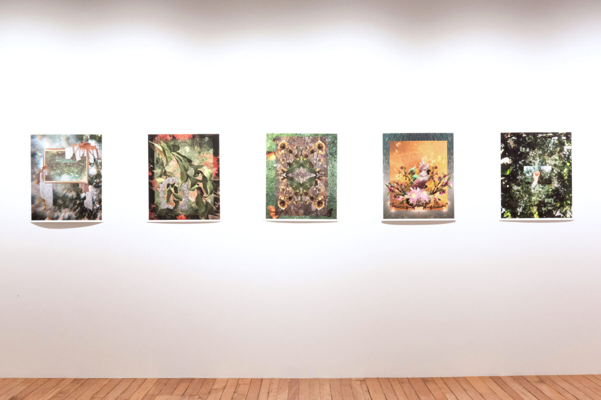 Laura Kay Keeling - Untitled Portals, 2023