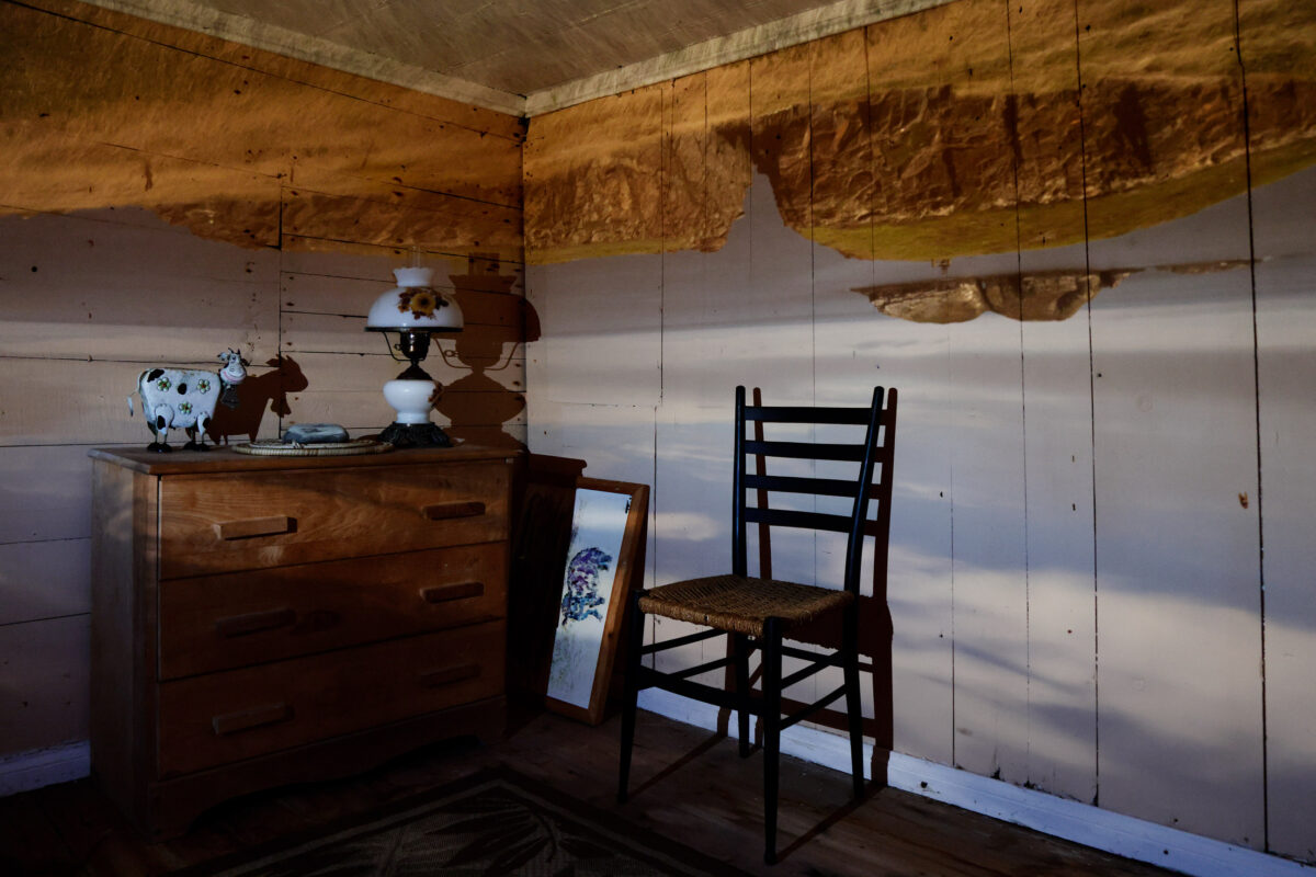 Sylvia Galbraith - Afternoon Light, Bird Island, 2022