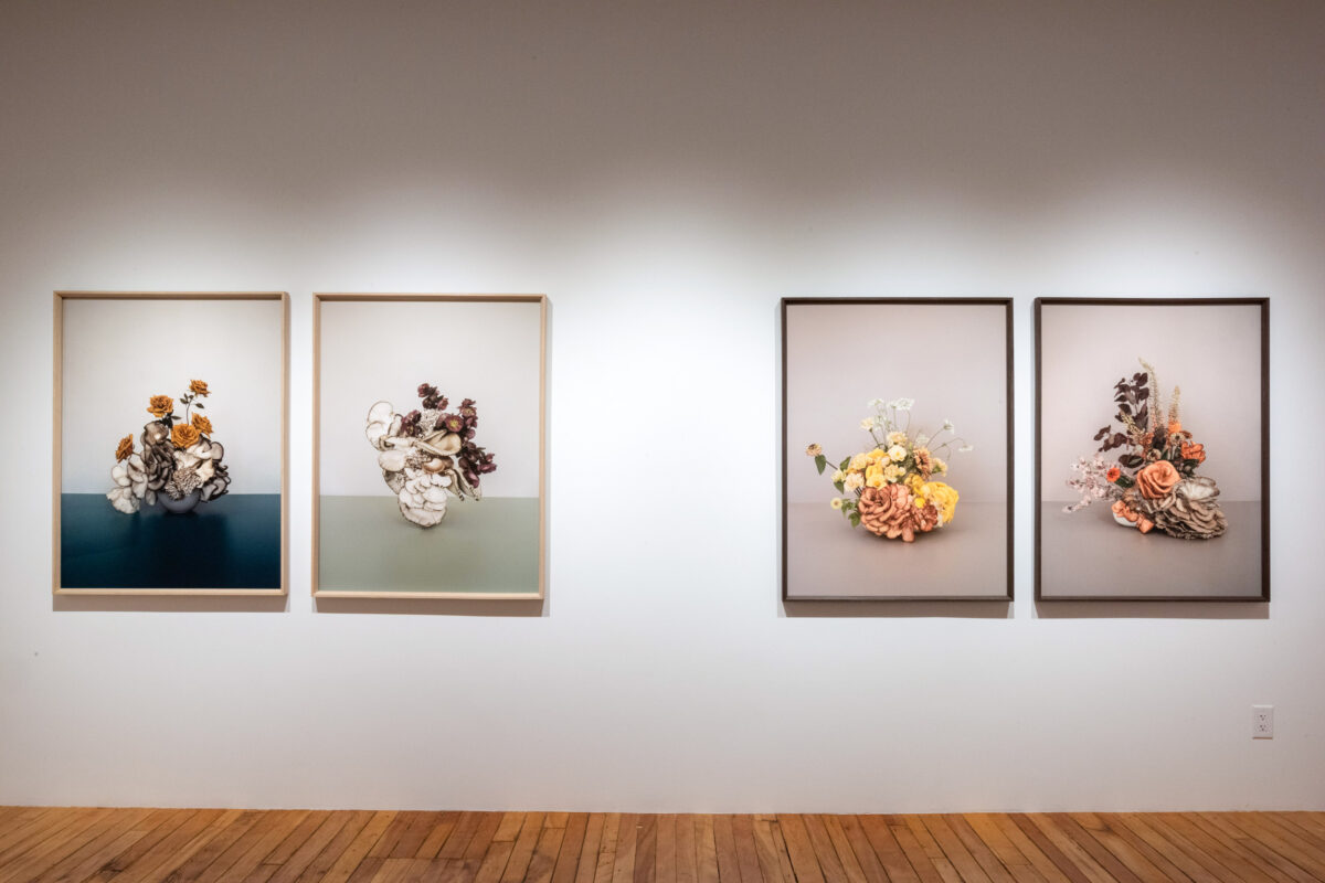 Anna Church - Finding Our Light Through the Darkness, 2024