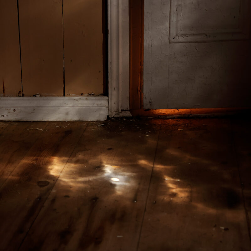 Sylvia Galbraith - Sunspot, #2, 2022