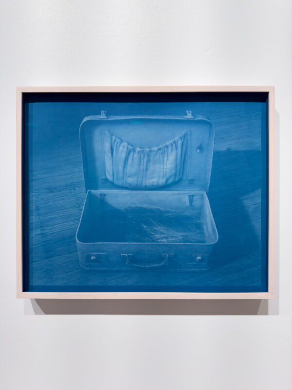 David Trautrimas - Anywhere Familiar is a Place on Earth [version 1], 2024