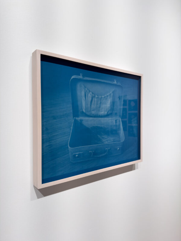 David Trautrimas - Anywhere Familiar is a Place on Earth [version 1], 2024