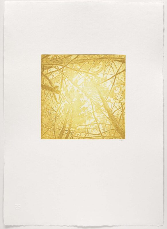 Tyler Bright Hilton - Just like I wanted, 2024