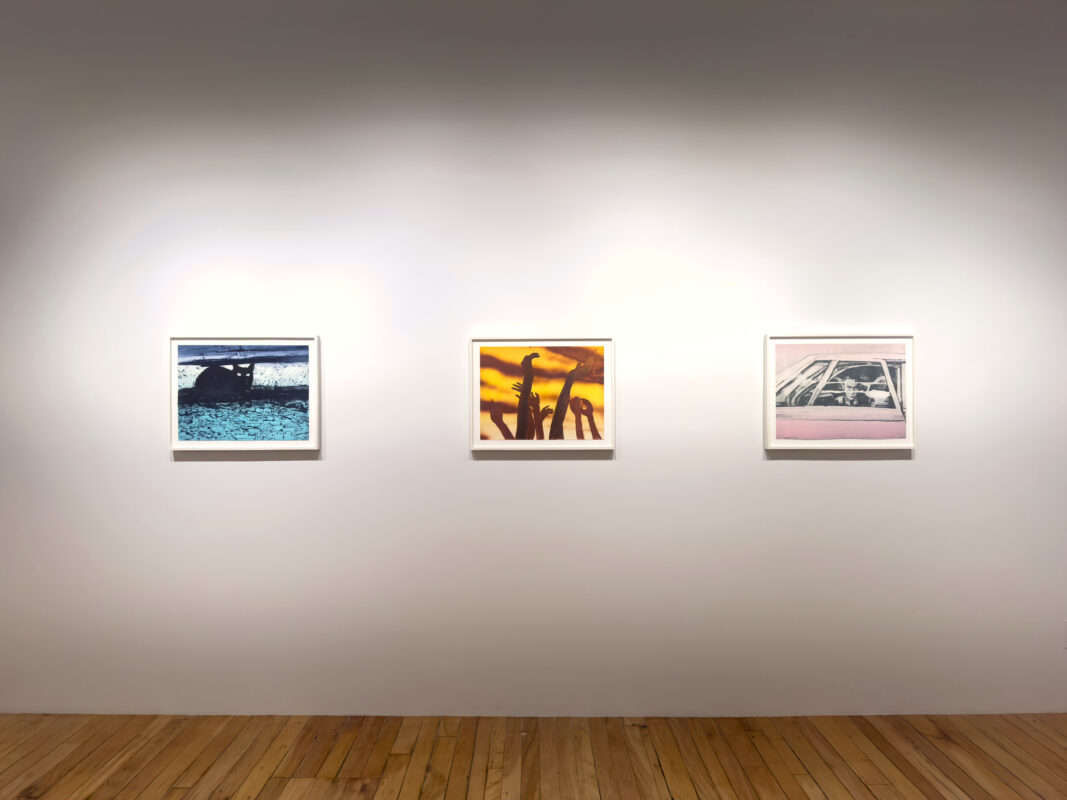 Tyler Bright Hilton - If I Were You, 2024