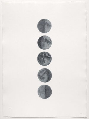 Tyler Bright Hilton - Tell me I'm wrong, 2024