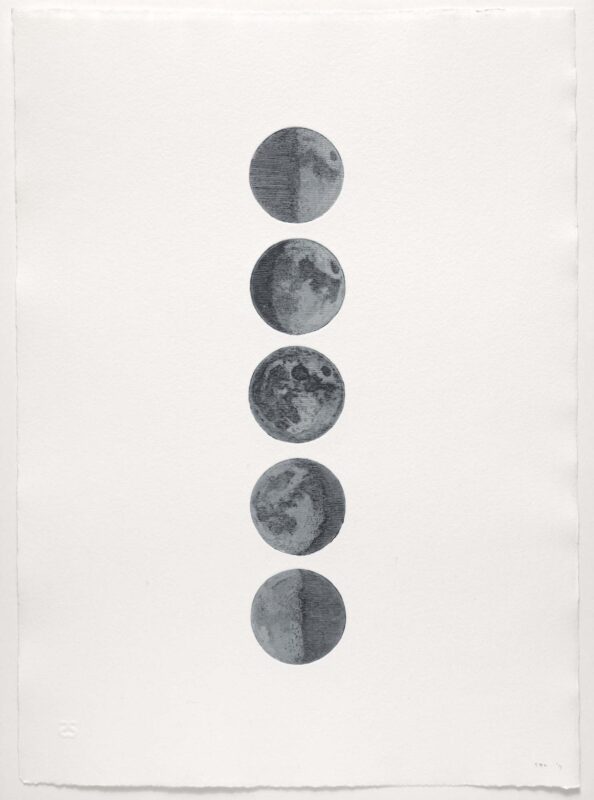 Tyler Bright Hilton - Tell me I'm wrong, 2024