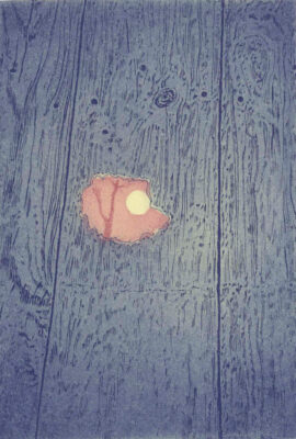 Tyler Bright Hilton - We began to climb, 2024