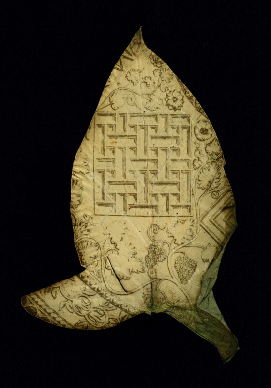 Dianne Bos - Feuilles d'Arum, architecture labyrinthe, 2024