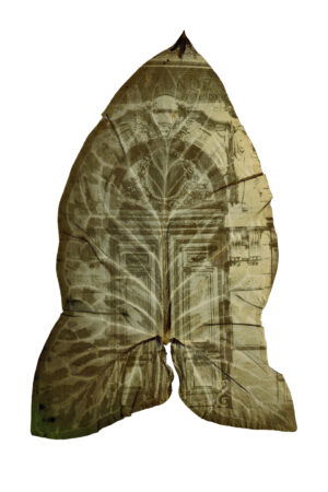 Dianne Bos - Porte du Monde, 2024