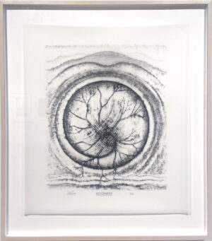 Don Carr - Ecosphere, 2003