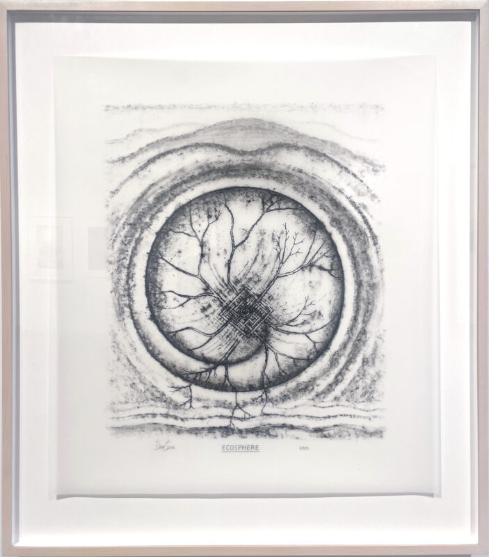 Don Carr - Ecosphere, 2003