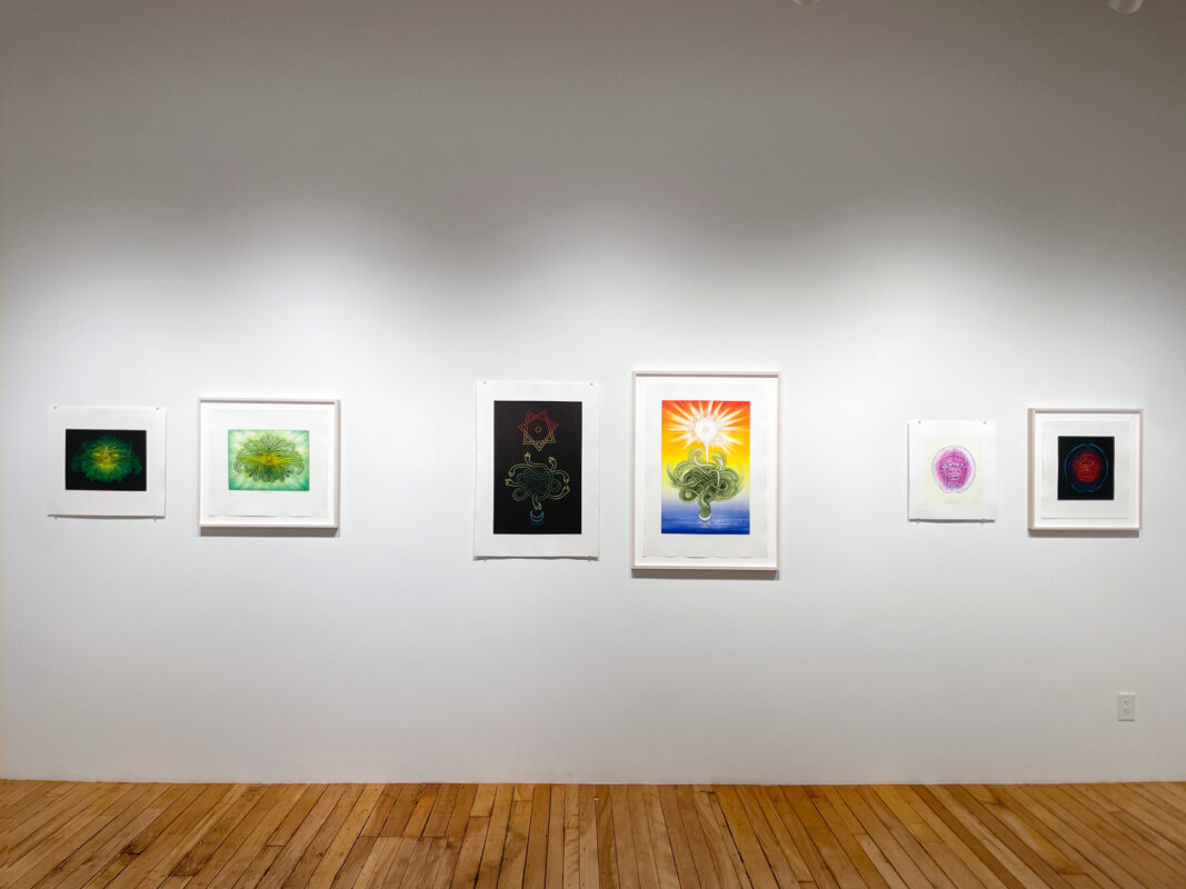 Don Carr - Collaborative Print Variations, 2025